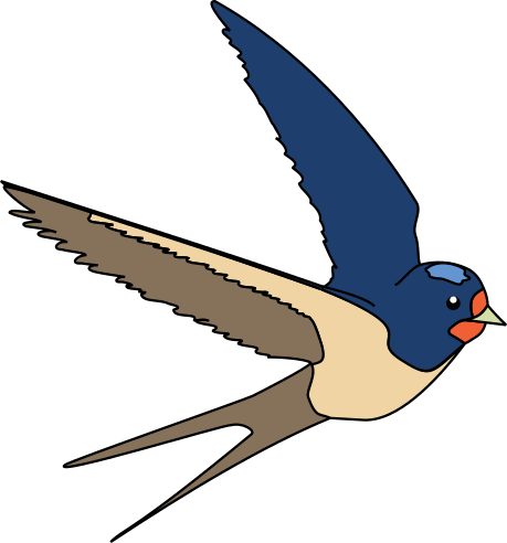 Rauchschwalbe